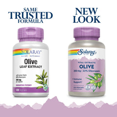 Close-up of SOLARAY Olive Leaf Extract capsules