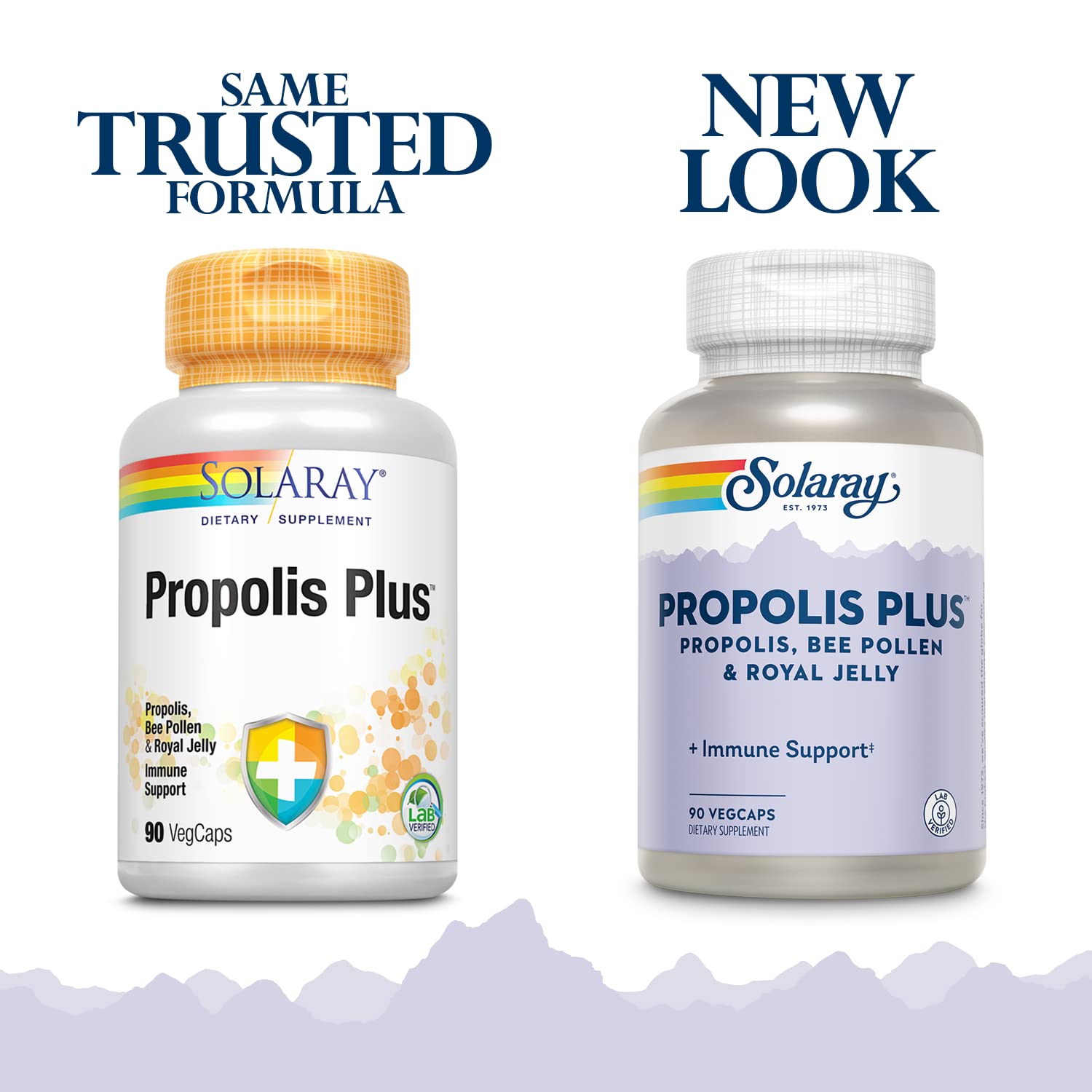 Healthy immune support concept with capsules and leaves