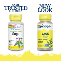 Sage Leaf 570mg bottle label showing 570mg per serving