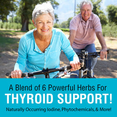 Close-up of herbal capsules from Thyroid Blend SP-26
