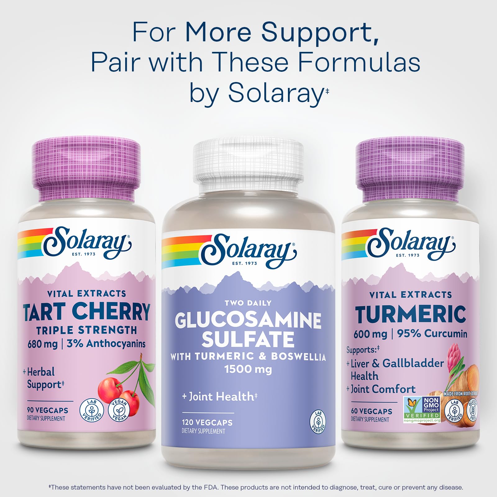 60 servings per bottle – vegan turmeric supplement