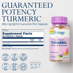Turmeric root and spice visual