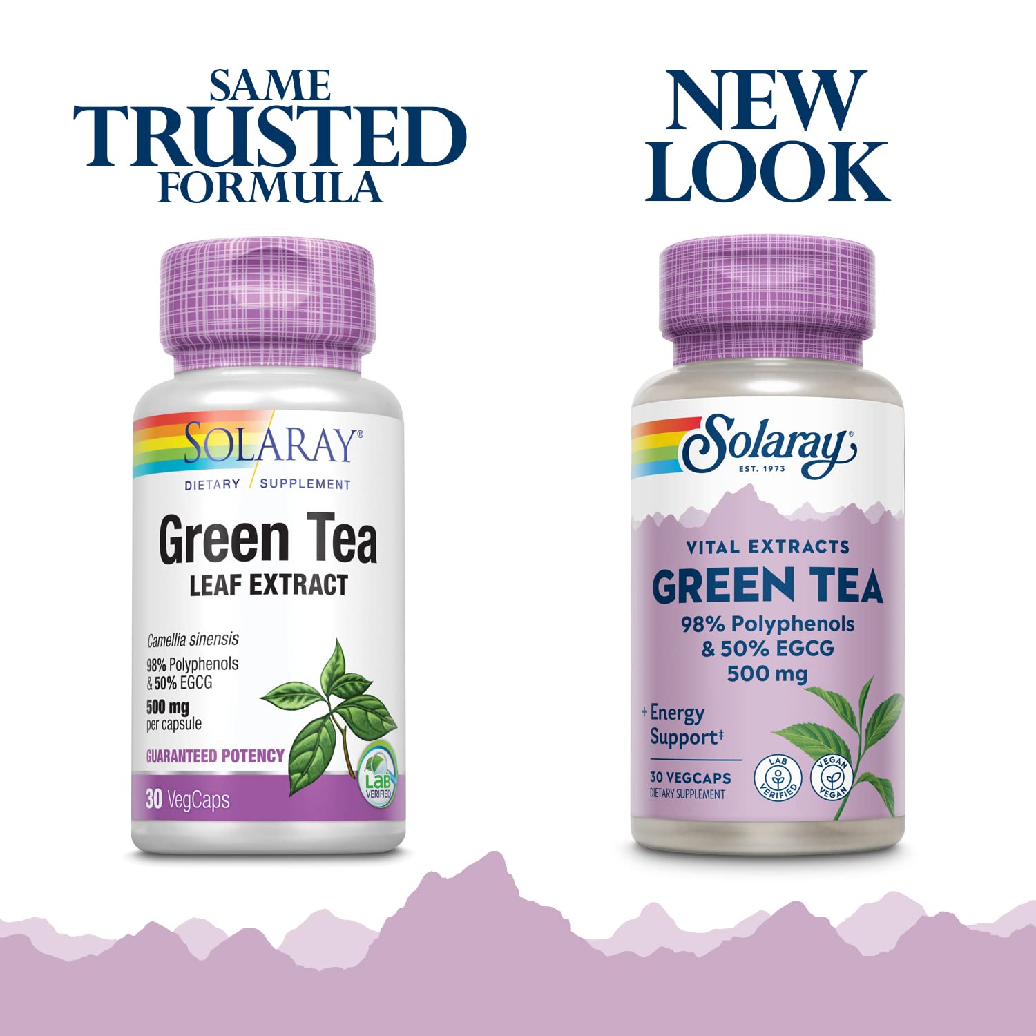SOLARAY Green Tea Leaf Extract Double Strength Veg Cap bottle product shot