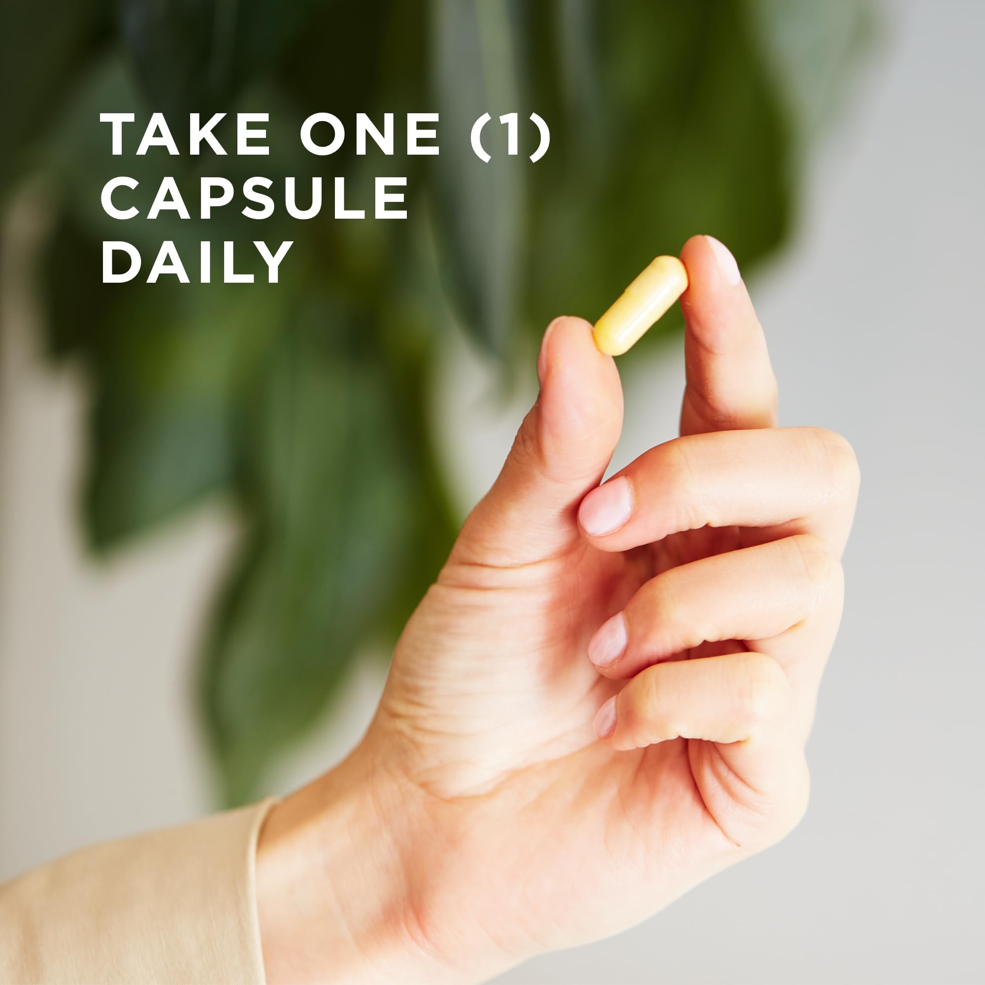 Solgar B-Complex 100 capsules close-up with label