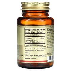 Oil-based softgels for enhanced absorption