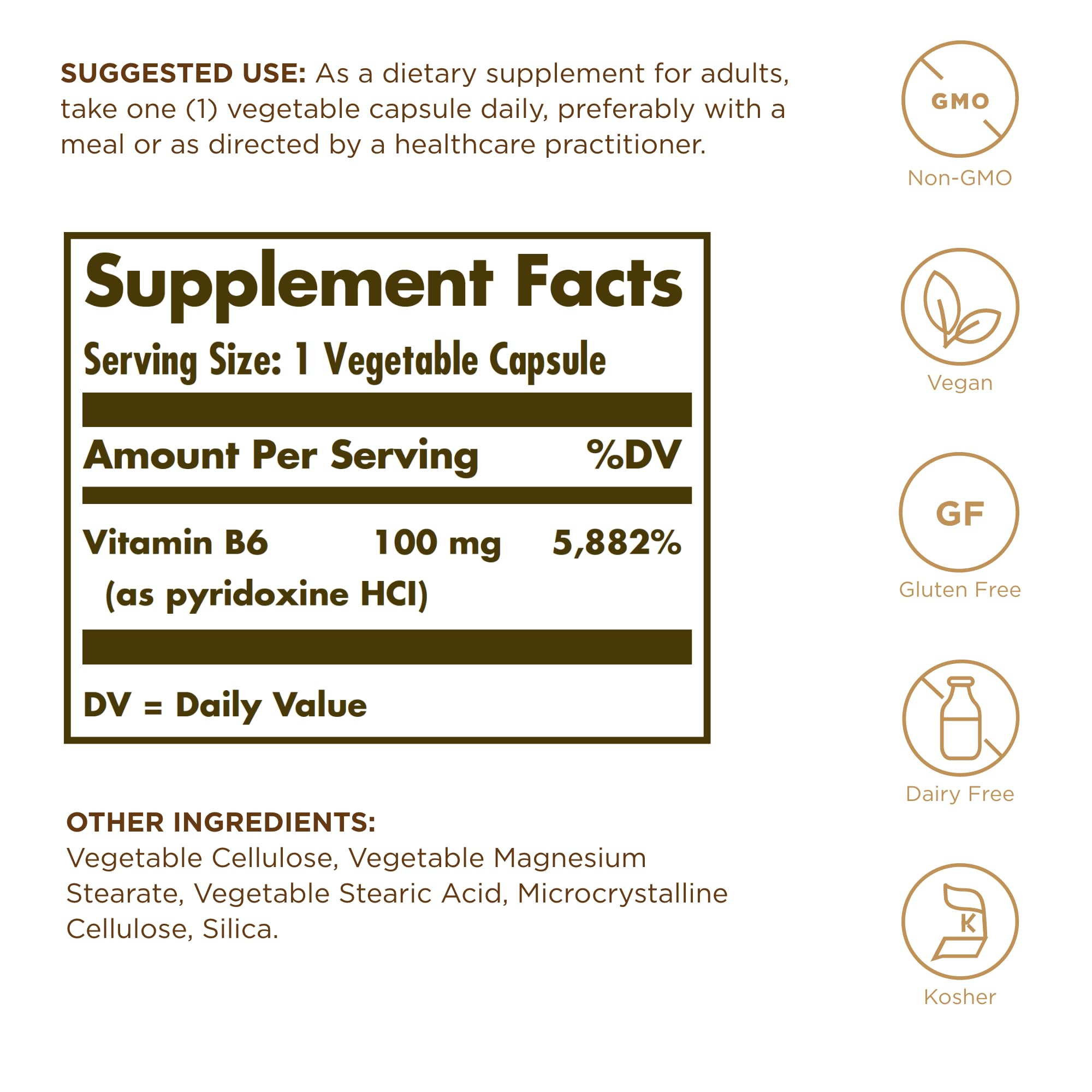 Solgar Vitamin B6 100 mg bottle with label close-up