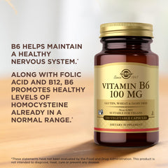 Solgar Vitamin B6 100 mg nutrition panel close-up