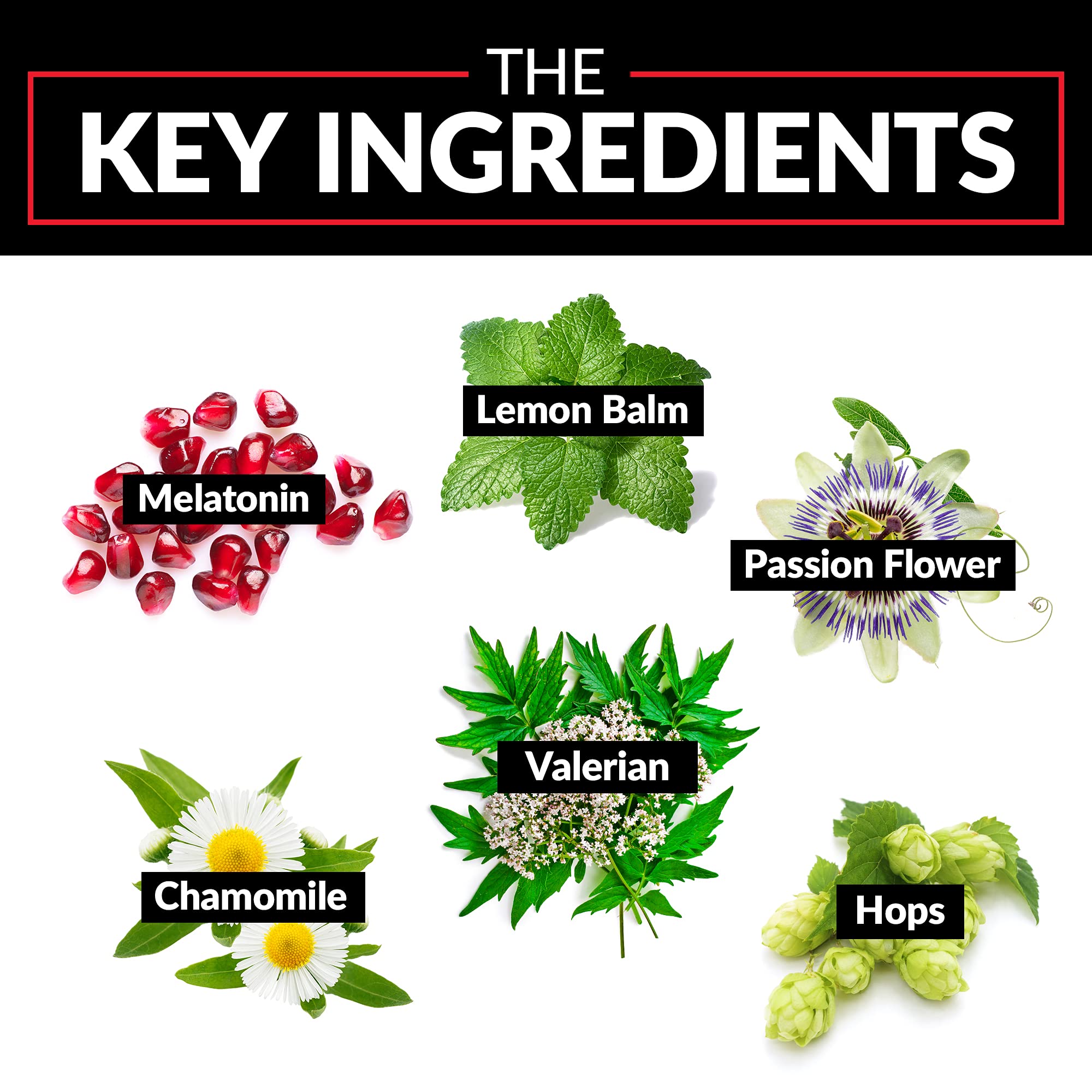 Lemon balm extract ingredient for Somnapure