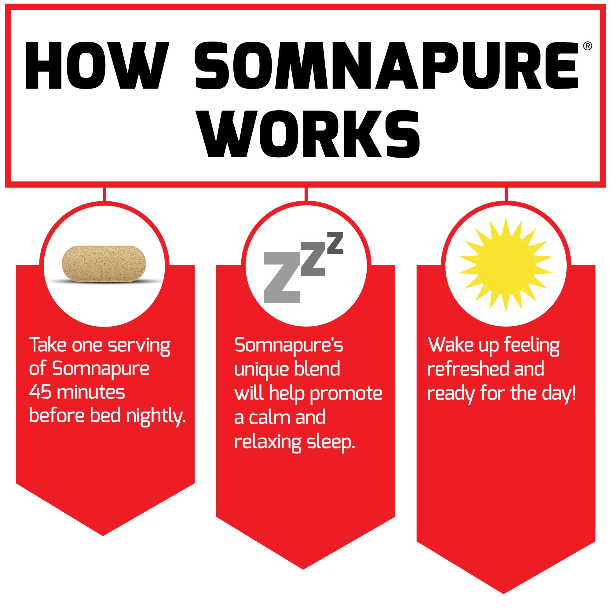 Graphic showing Somnapure ingredients valerian and melatonin