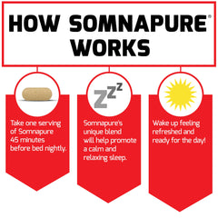 Graphic showing Somnapure ingredients valerian and melatonin
