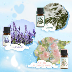 Soulorigin Laundry Fragrance Oils Set – Sage