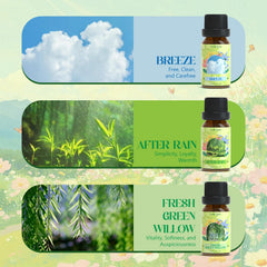 Breeze scented essential oil bottle