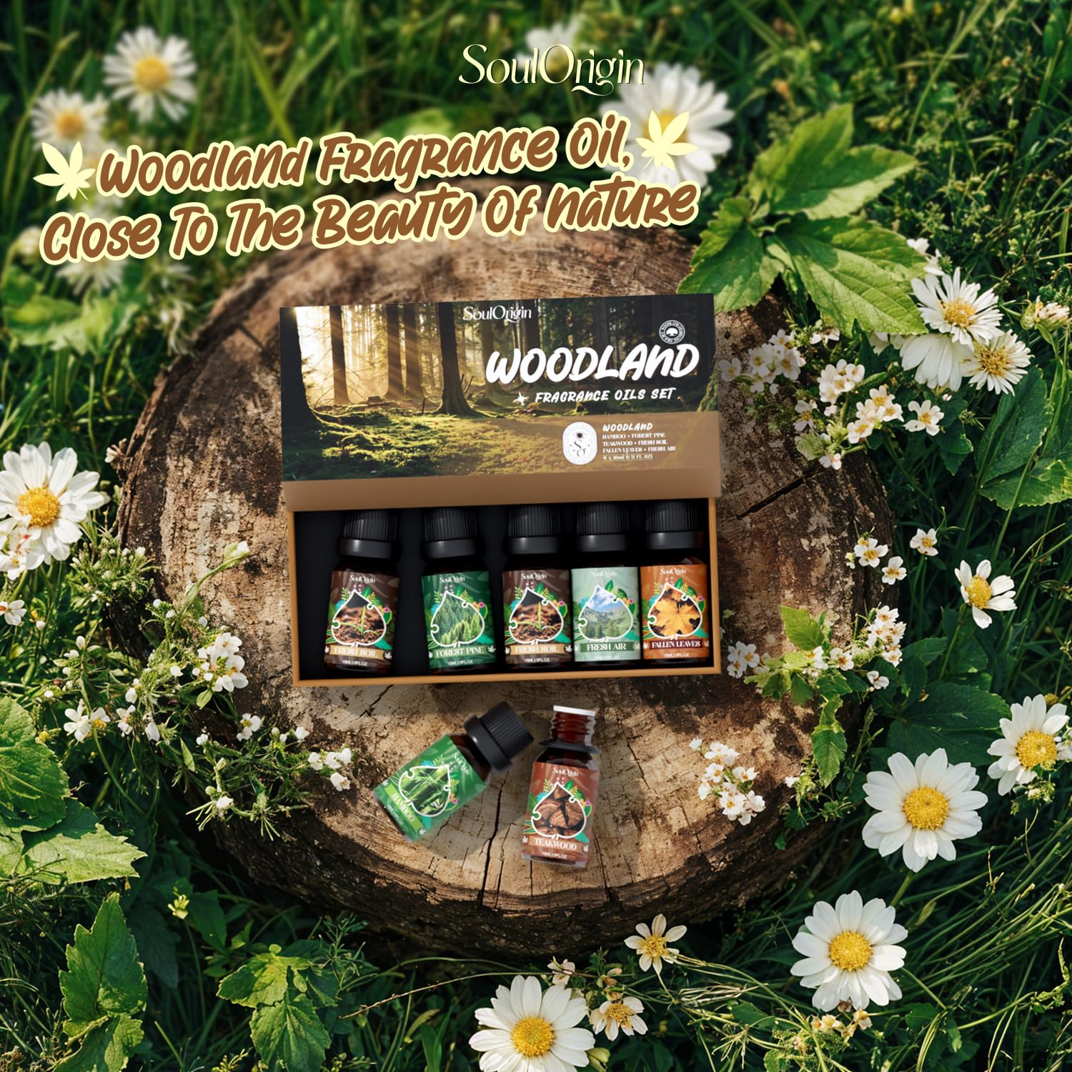 Soulorigin Woodland Fragrance Oils Set packaging image