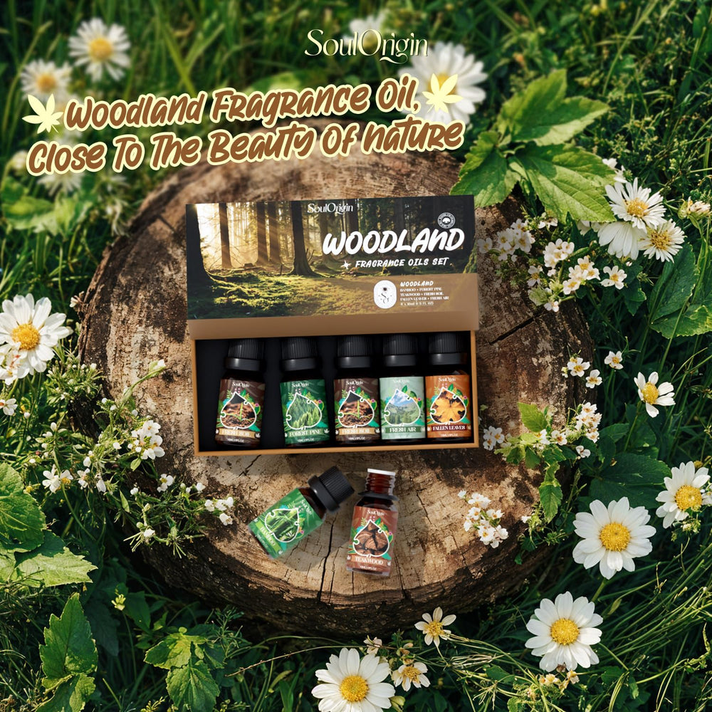 Soulorigin Woodland Fragrance Oils Set packaging image