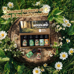 Soulorigin Woodland Fragrance Oils Set packaging image