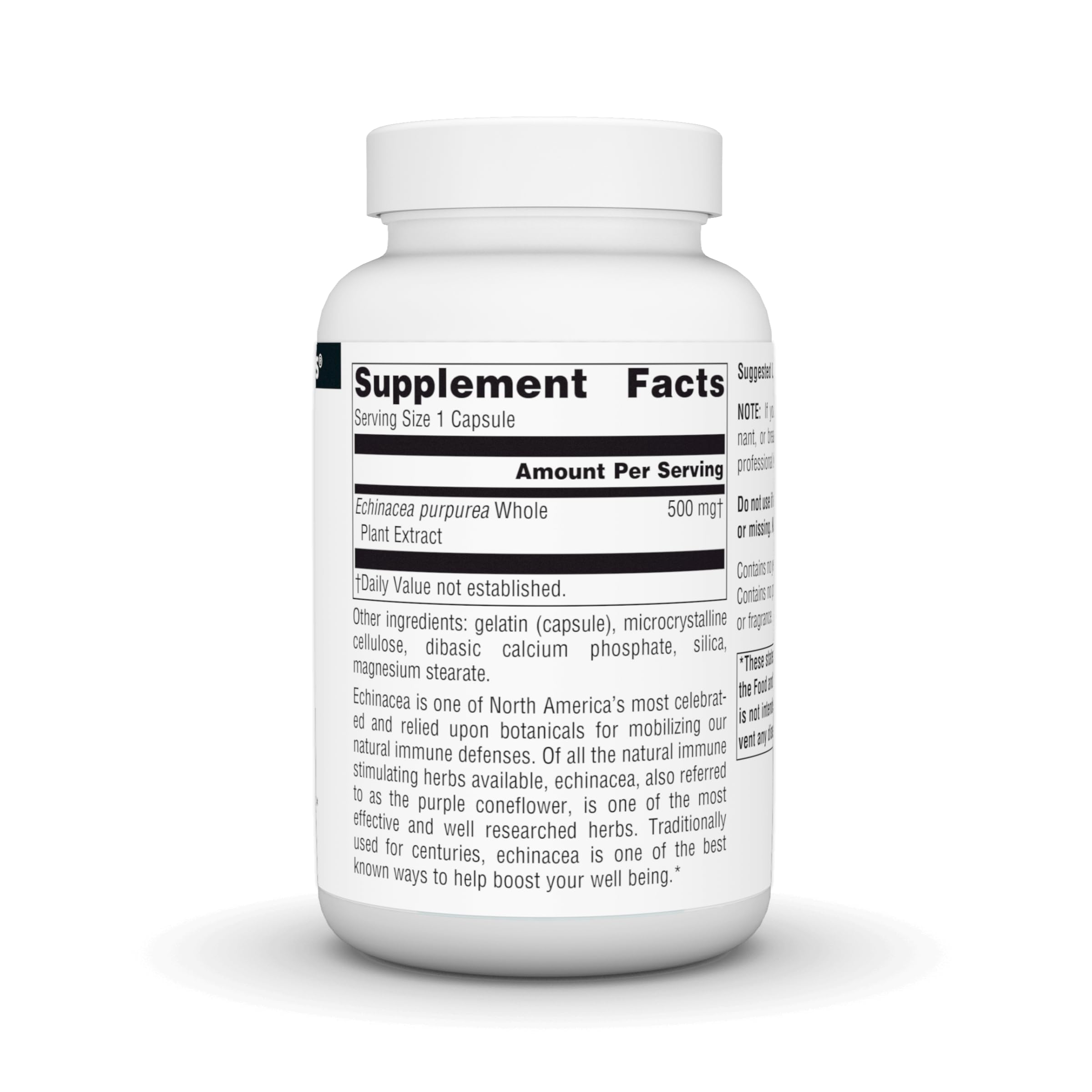 Close-up of Echinacea root extract capsules