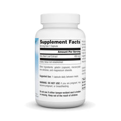 Close-up of Holy Basil Extract 450mg capsules