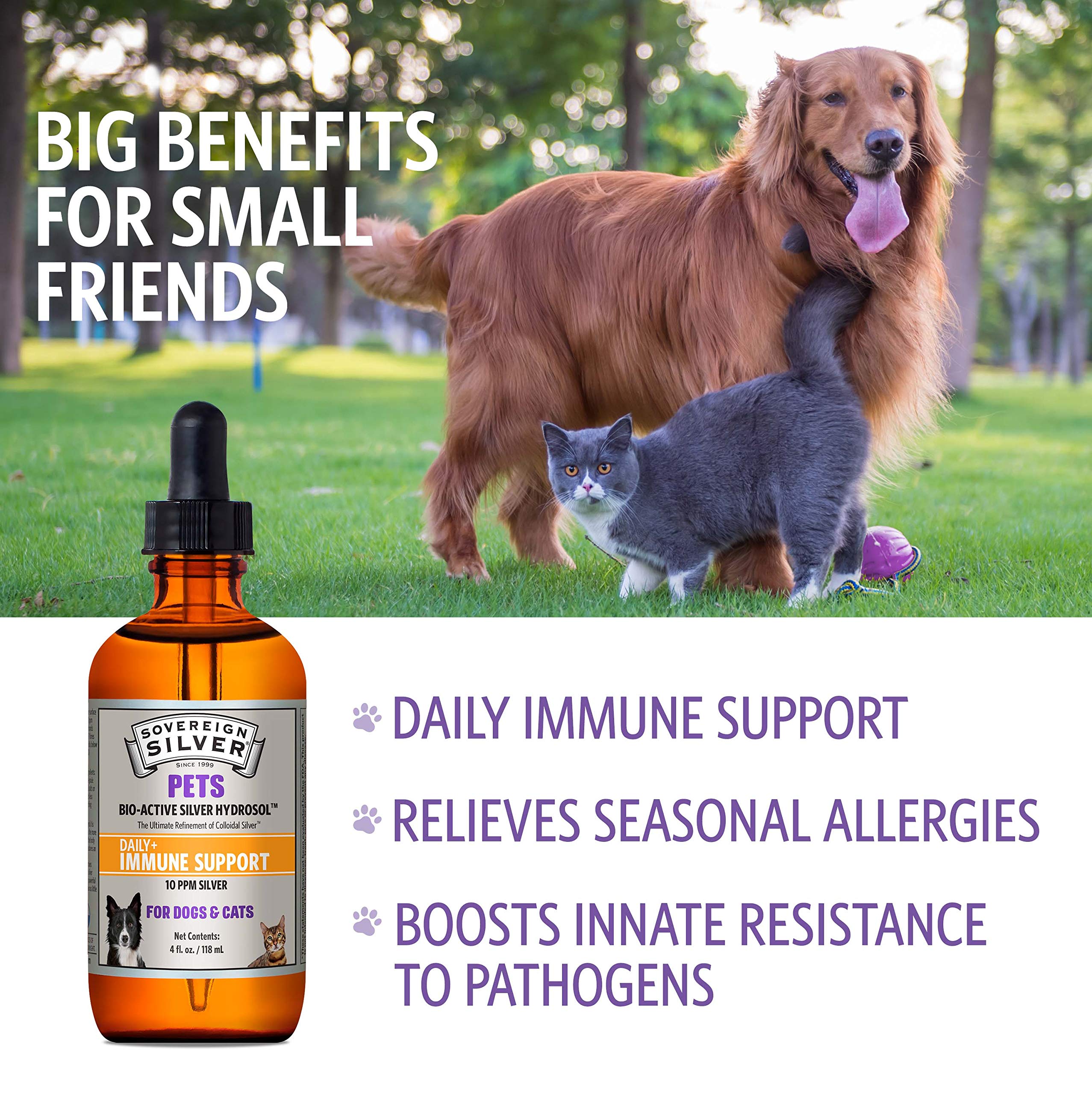 Dropper bottle of Sovereign Silver for pets (4 oz)