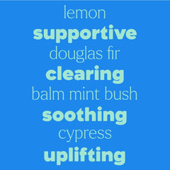 Notes include Spearmint, Geranium Bourbon, Lemon, Lavender, and Frankincense