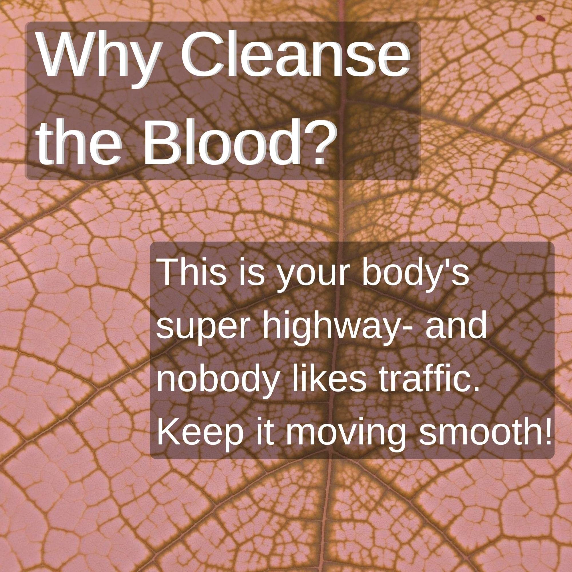4 oz serving size label for SpeedyVite Blood Lifeboost Tea