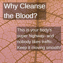4 oz serving size label for SpeedyVite Blood Lifeboost Tea