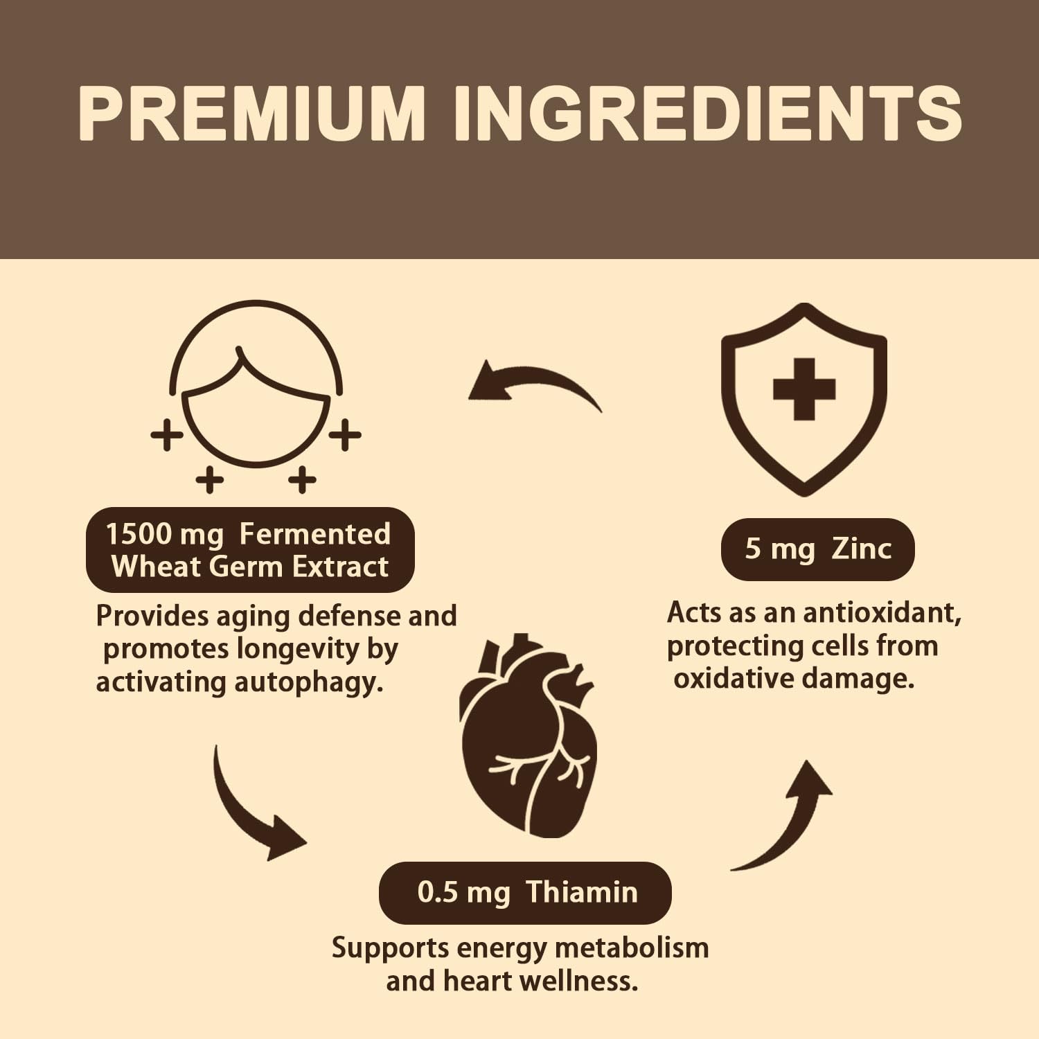 60-softgel bottle packaging for spermidine supplement