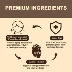 60-softgel bottle packaging for spermidine supplement