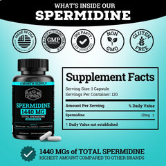 Close-up of ingredients highlighting 12 mg spermidine per capsule
