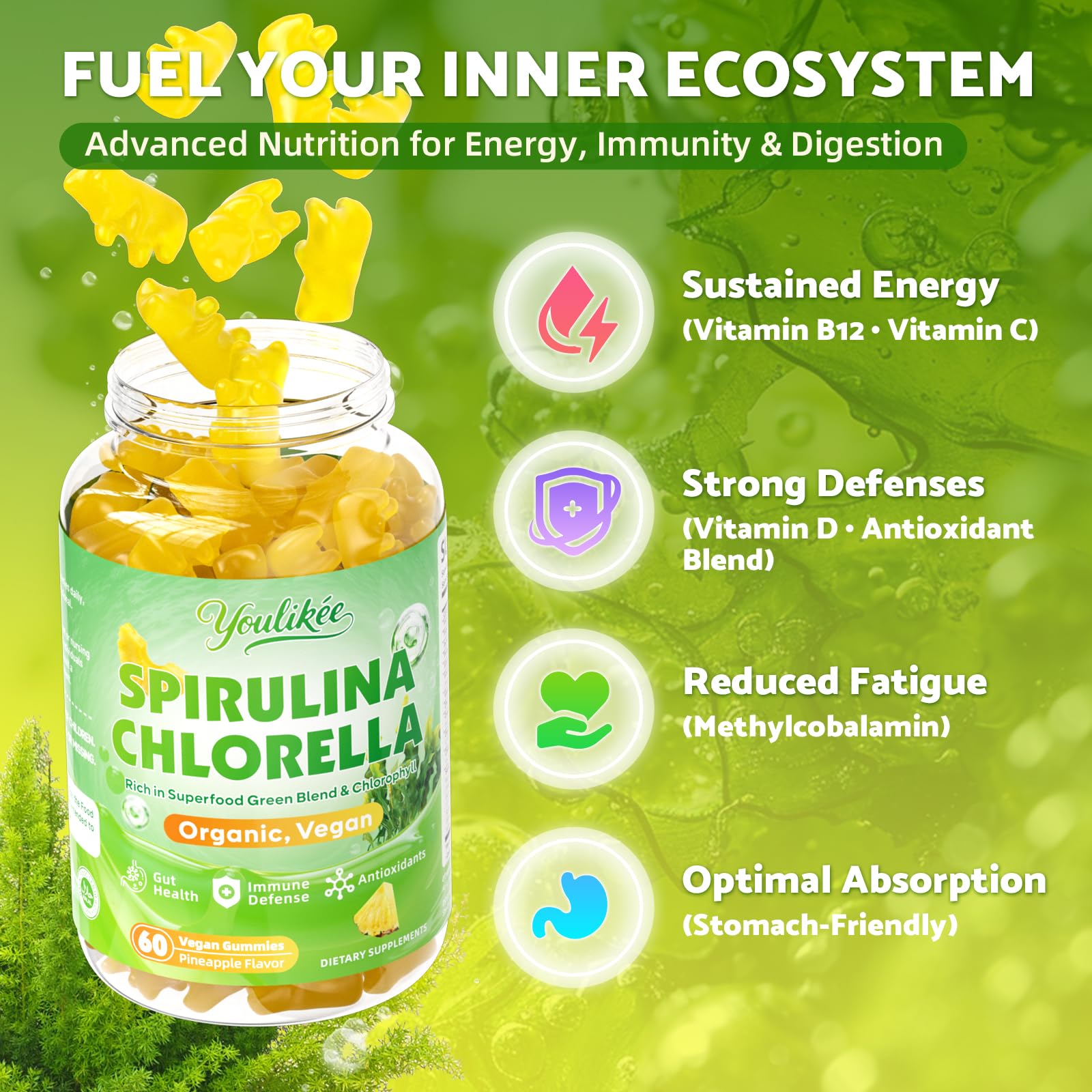 Supergreens blend ingredients: broccoli, moringa, wheatgrass, spinach, kale