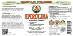 Dried Spirulina Arthrospira platensis algae magnified