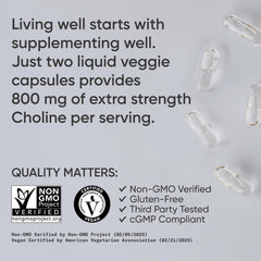 Choline VitaCholine ingredients graphic