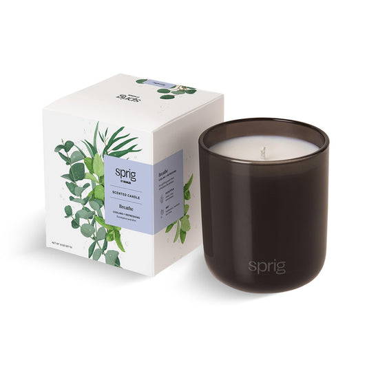 Sprig by Kohler Breathe candle 8 oz jar with eucalyptus and mint aroma