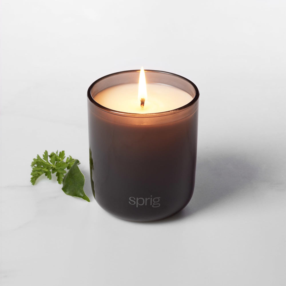 Wick close-up of Sprig by Kohler Relax candle