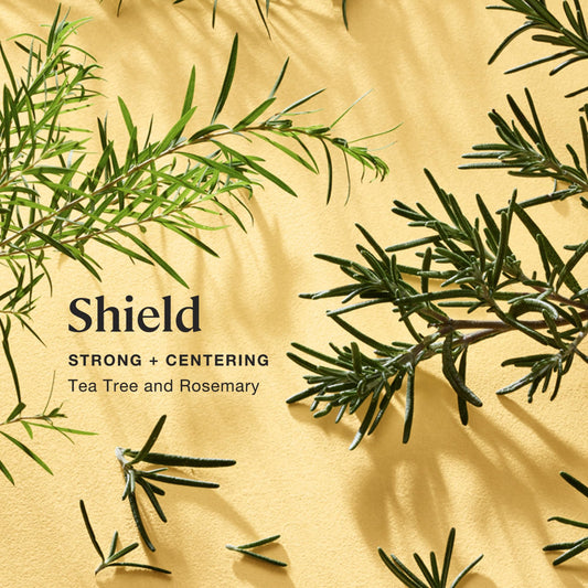 Close-up of Sprig by Kohler Shield candle label and wick