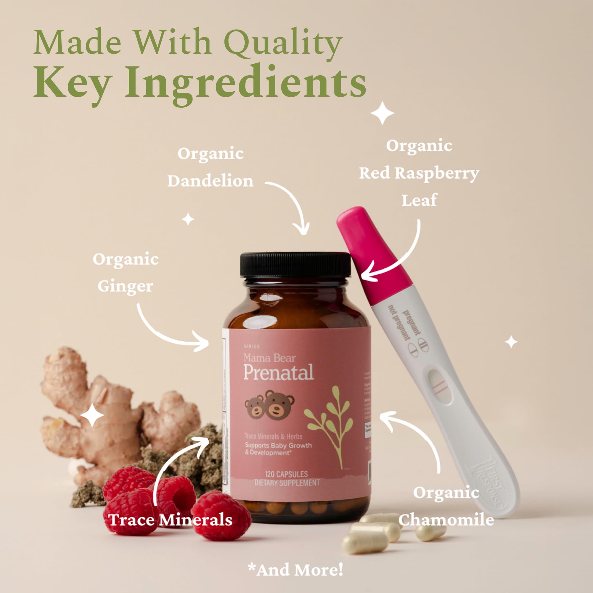 Vitamins and minerals ingredients highlighting folate, B12 and iron
