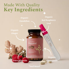 Vitamins and minerals ingredients highlighting folate, B12 and iron