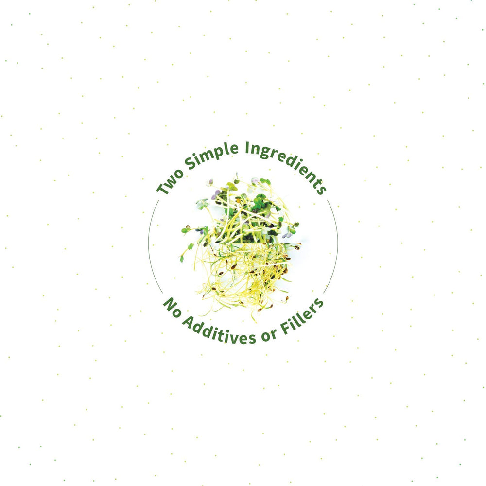 Sprouted broccoli and kale seeds in mineral-rich water