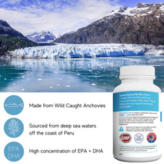 Sea-harvested Peruvian anchovy fish oil source