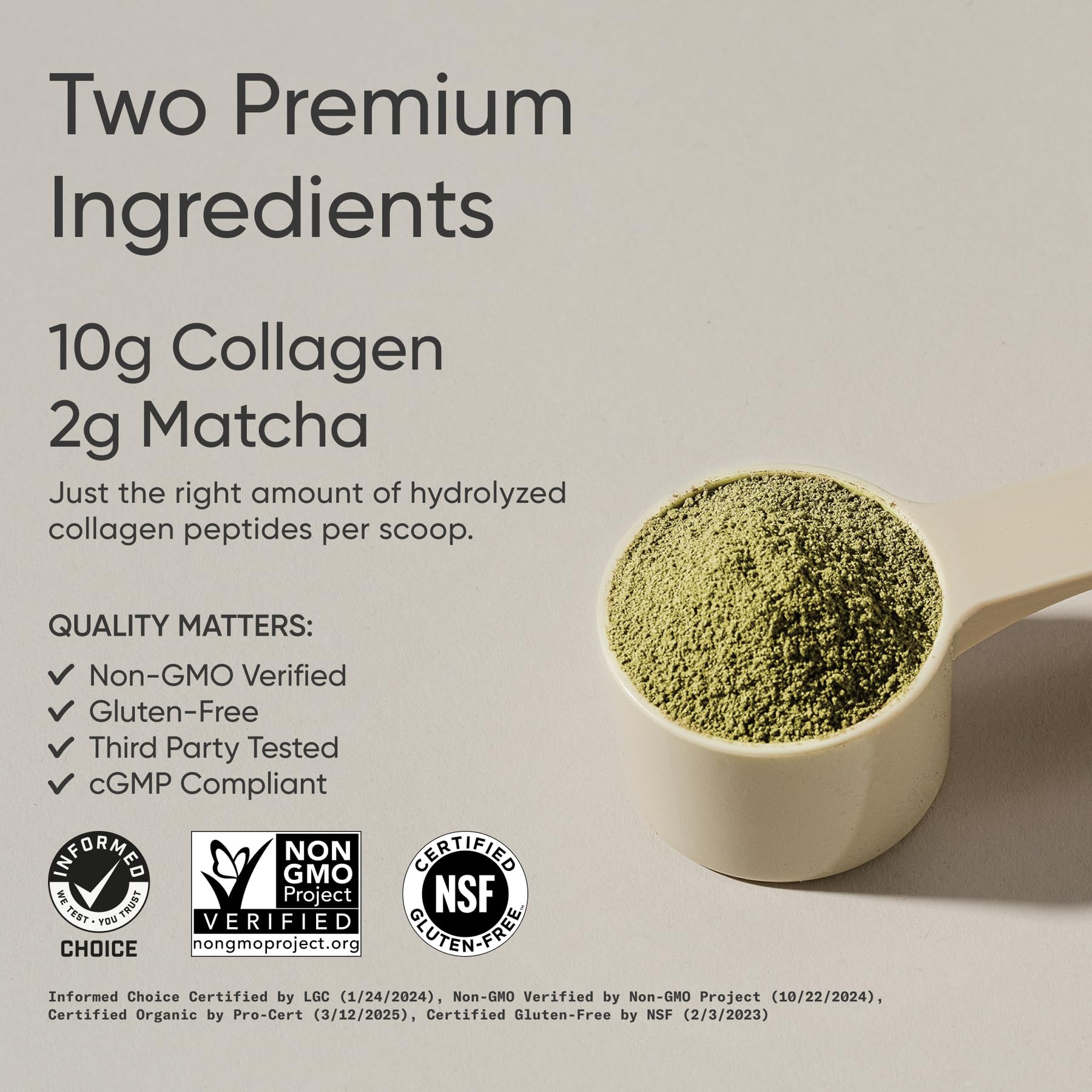 Close-up of collagen peptides powder blending with matcha
