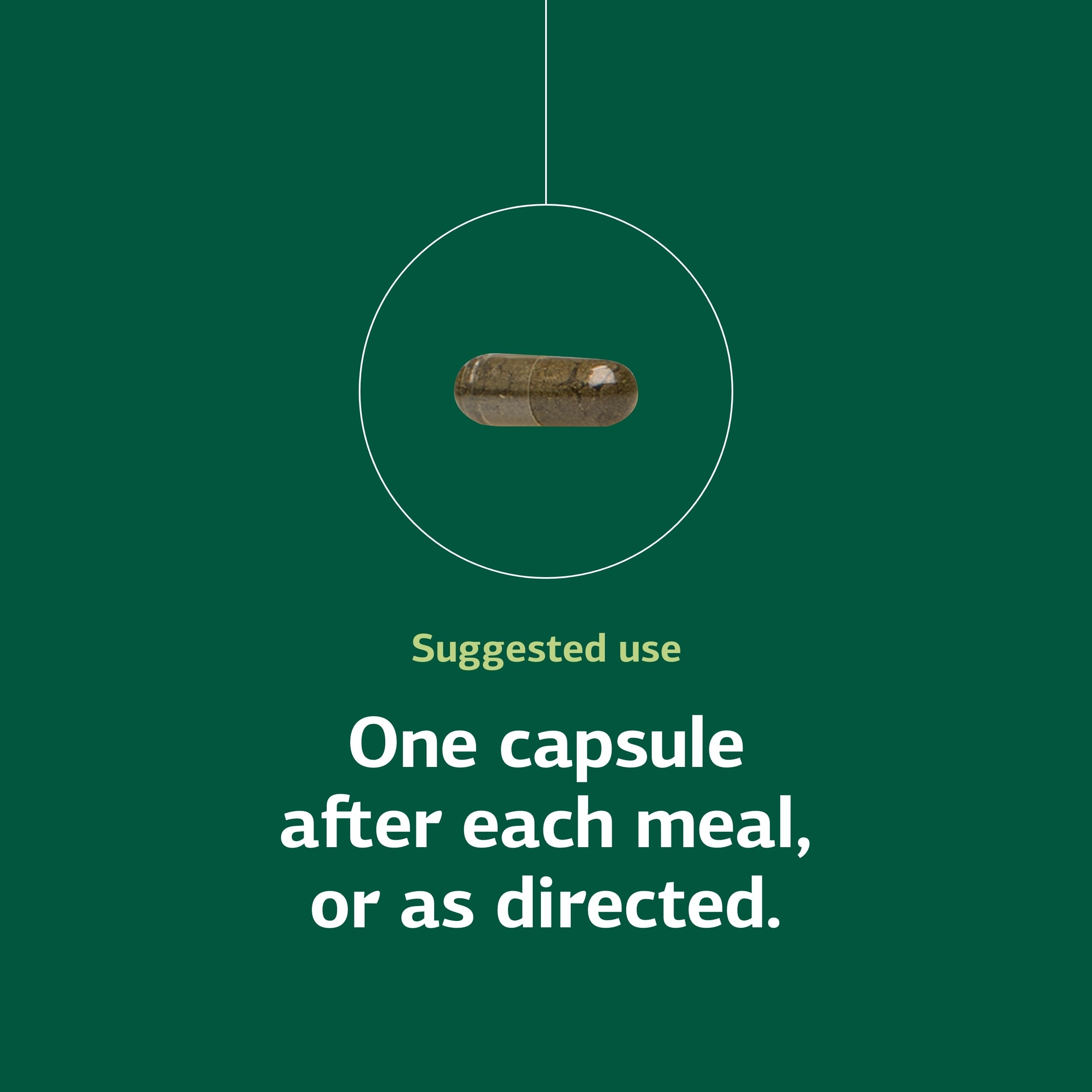 Alginic acid ingredient visual in Standard Process Okra Pepsin E3 supporting gut function.