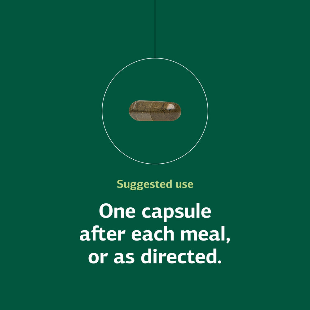 Alginic acid ingredient visual in Standard Process Okra Pepsin E3 supporting gut function.