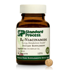 Standard Process B6-Niacinamide bottle with 90 tablets