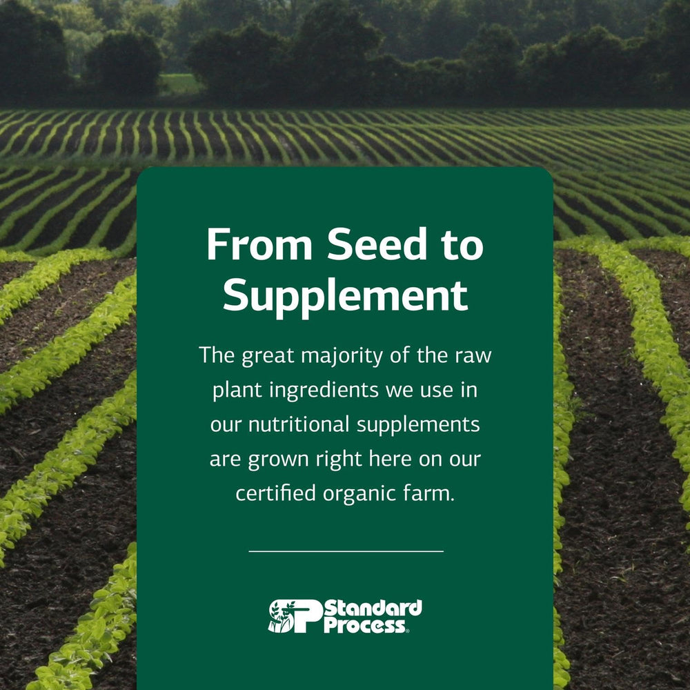 330-tablet bottle of B6-Niacinamide energy metabolism supplement