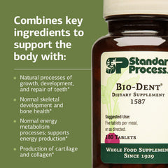 Cartilage and collagen production concept