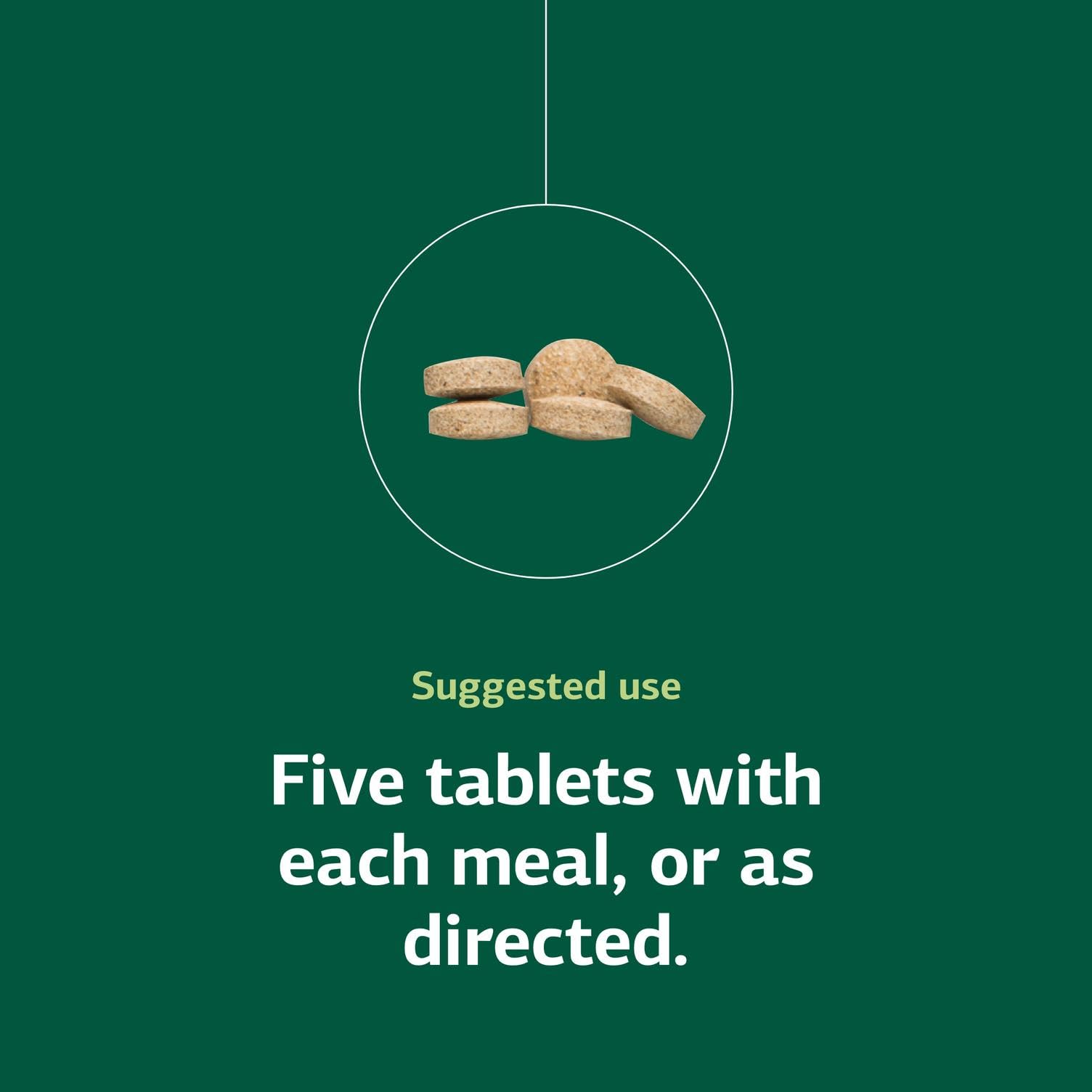 Standard Process Bio-Dent imprinted tablets reflect bone health focus.