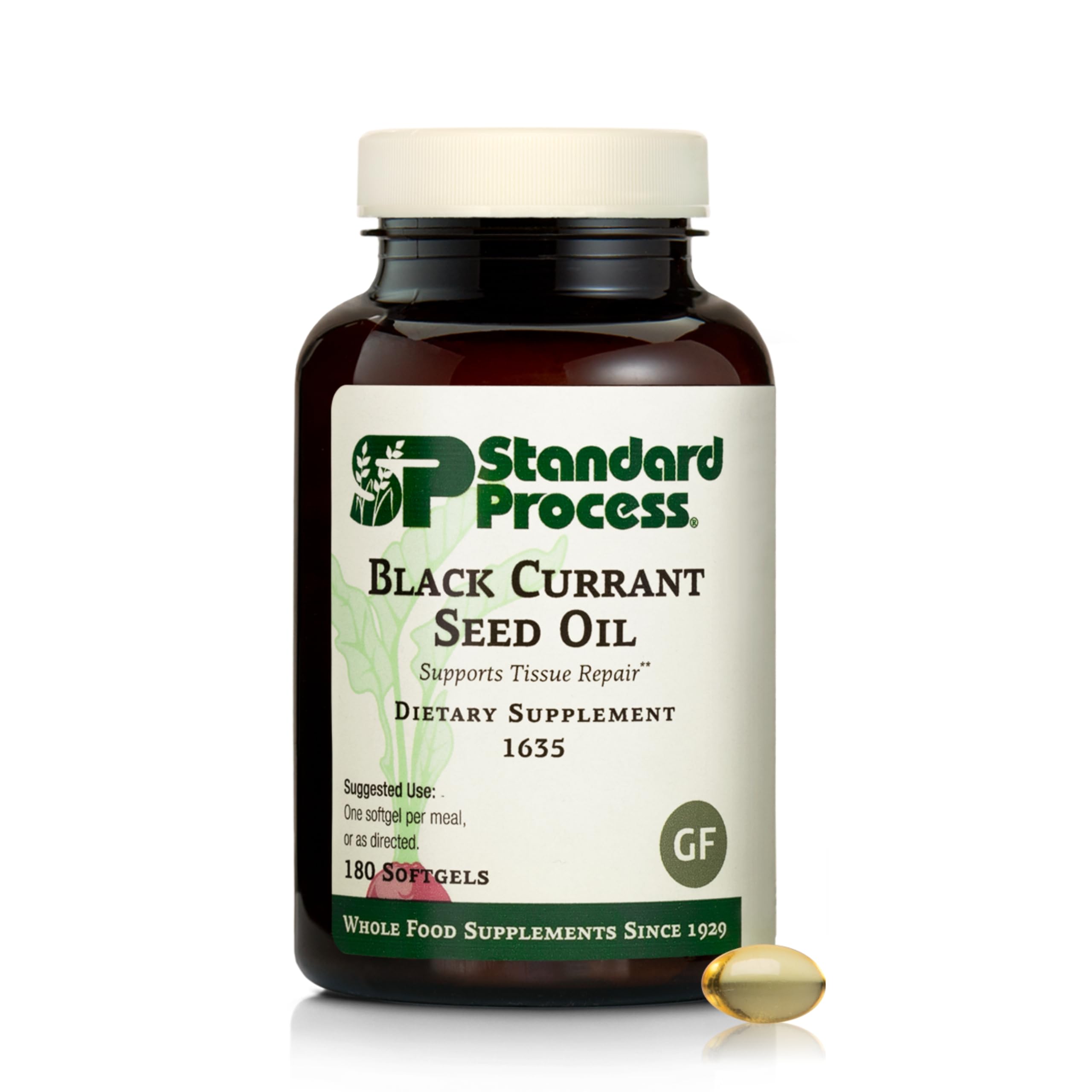Standard Process Black Currant Seed Oil softgels bottle highlighting tissue wellness support.
