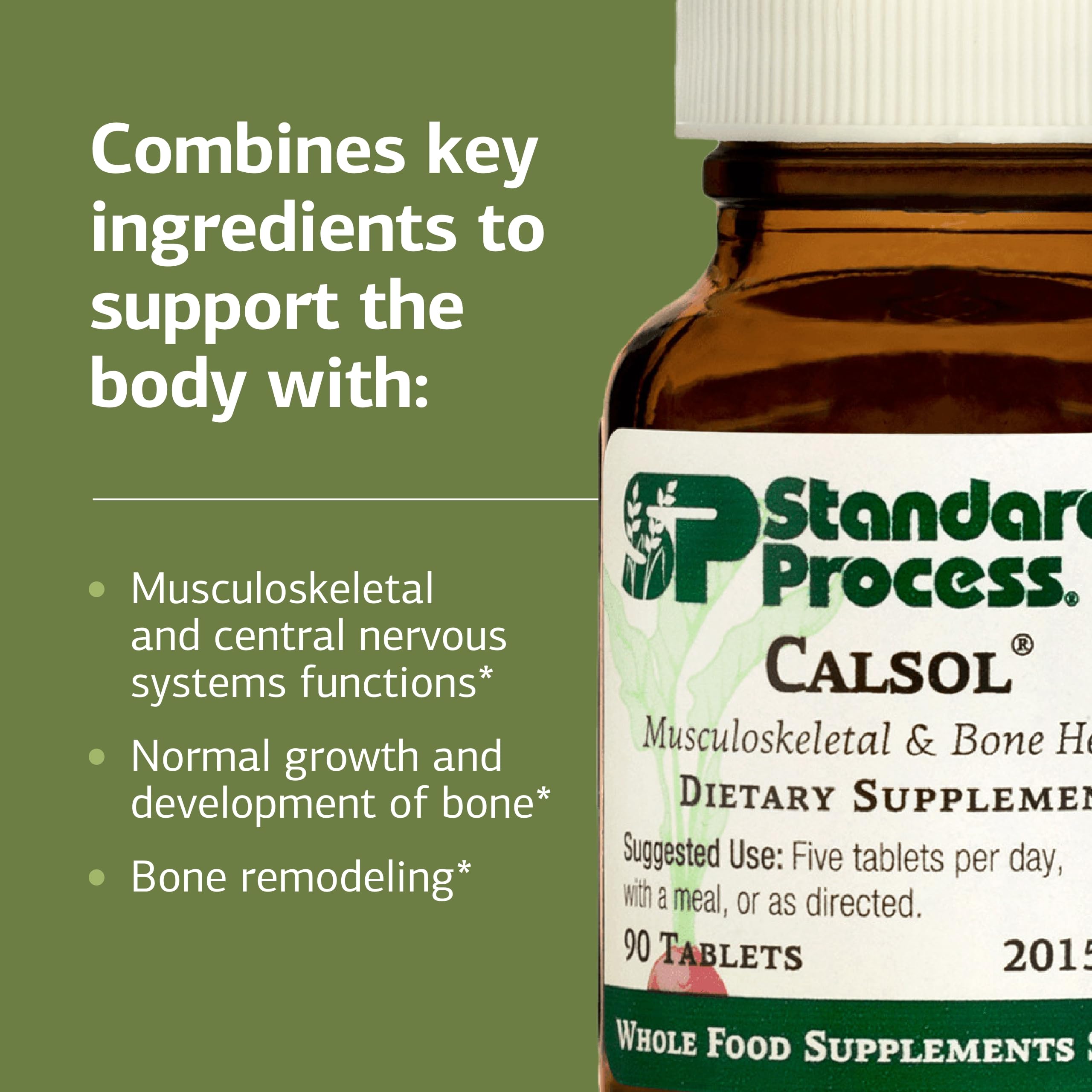 Nervous system and skeleton health concept representing Calsol