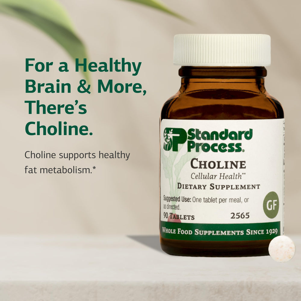 Gluten-free, non-dairy, vegetarian choline supplement graphic