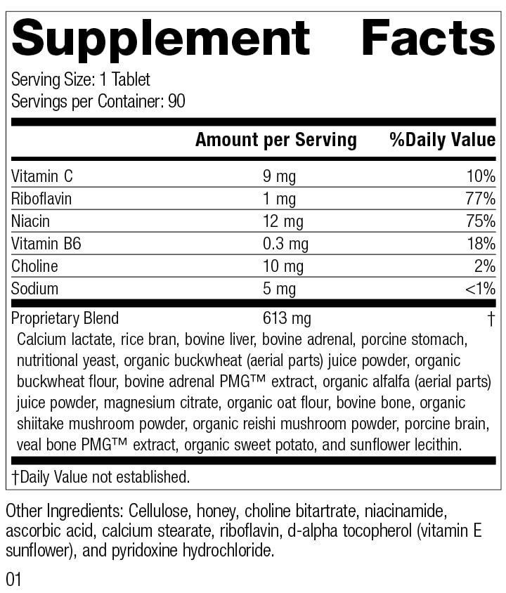 Standard Process Drenamin tablets closeup highlighting texture for energy support