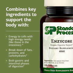 Standard Process Enzycore kale beet powder component supporting digestive process.